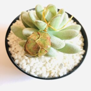 Unakite Smooth Necklace