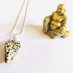 Dalmation Jasper Smooth Necklace